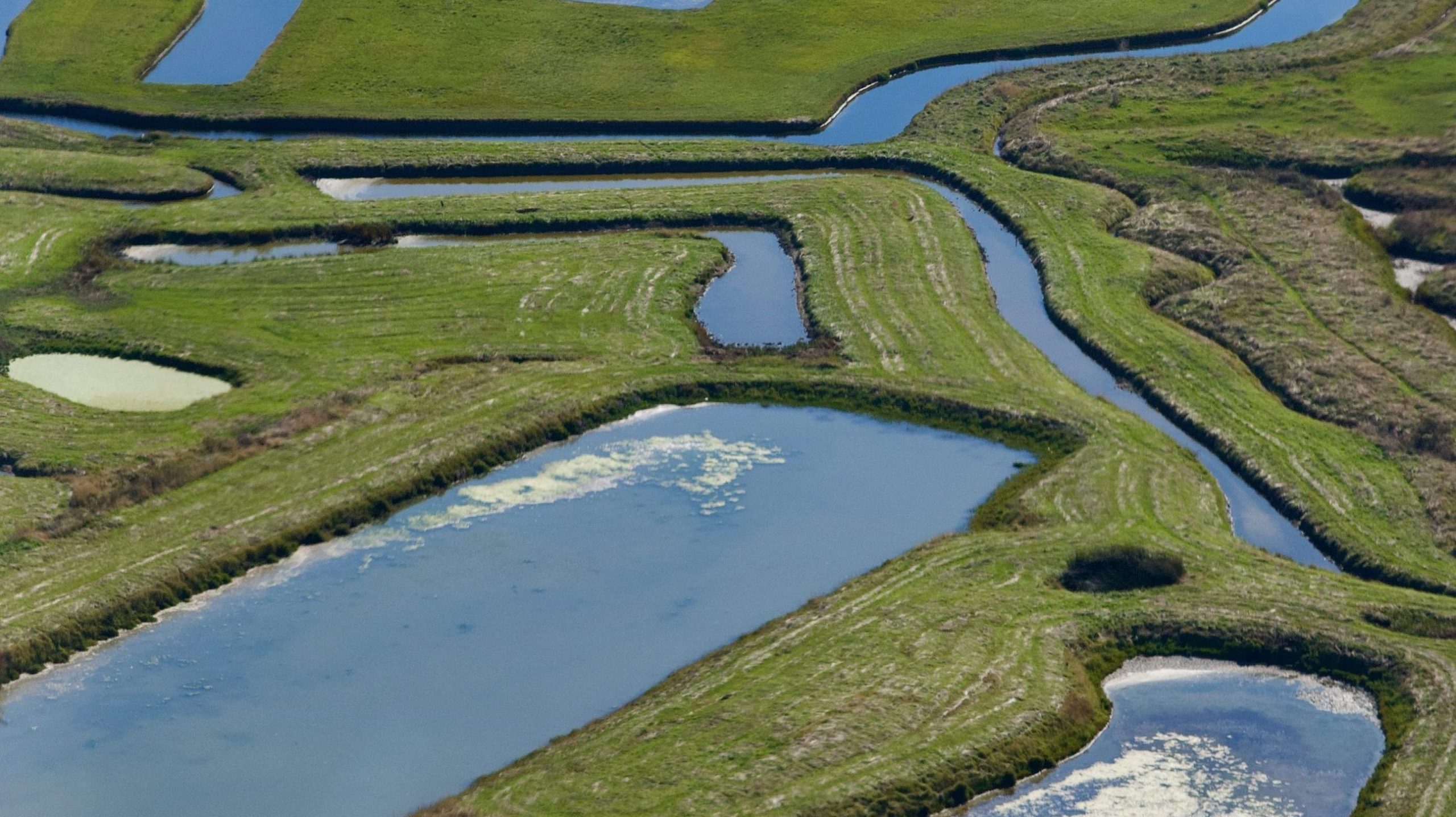 La protection des marais de l'île d'Oléron