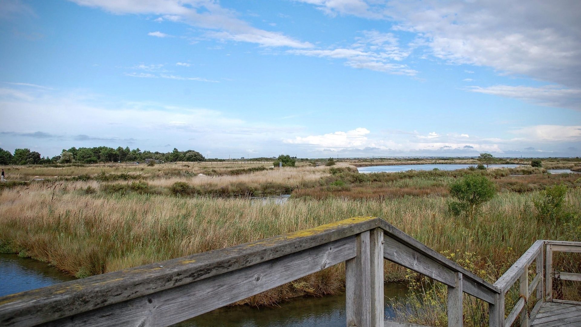 Les zones de biodiversité de l'île d'Oléron